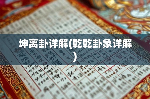 坤离卦详解(乾乾卦象详解)