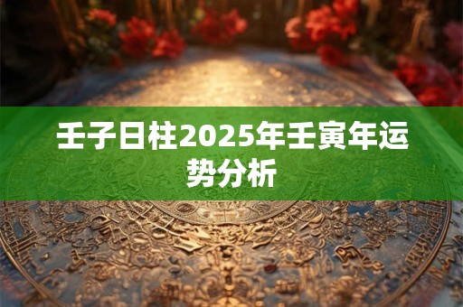 壬子日柱2025年壬寅年运势分析