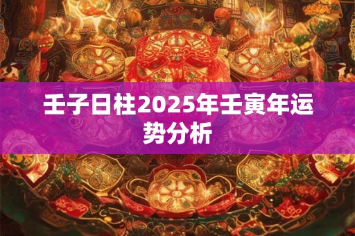 壬子日柱2025年壬寅年运势分析