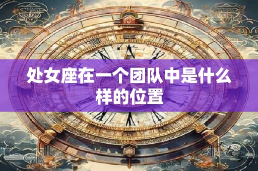 处女座在一个团队中是什么样的位置