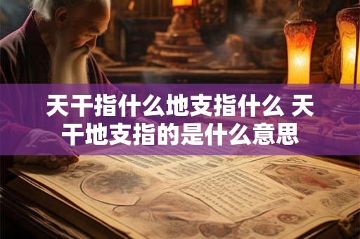 天干指什么地支指什么 天干地支指的是什么意思