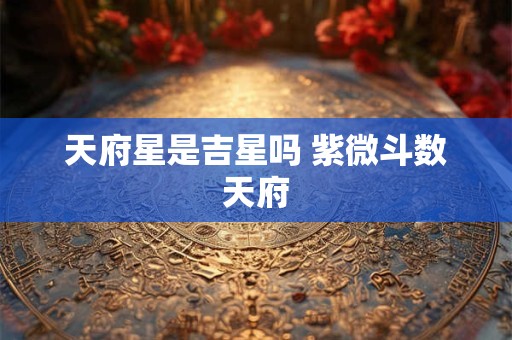 详细阅读:天府在子女宫是什么意思 子女宫有天府星代表什么 天府在子女宫是什么意思 子女宫有天府星代表什么