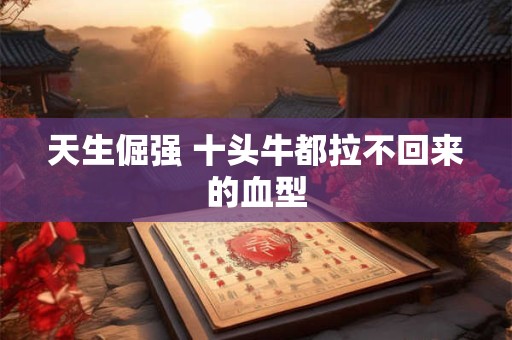 天生倔强 十头牛都拉不回来的血型