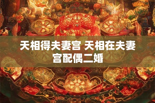 天相得夫妻宫 天相在夫妻宫配偶二婚