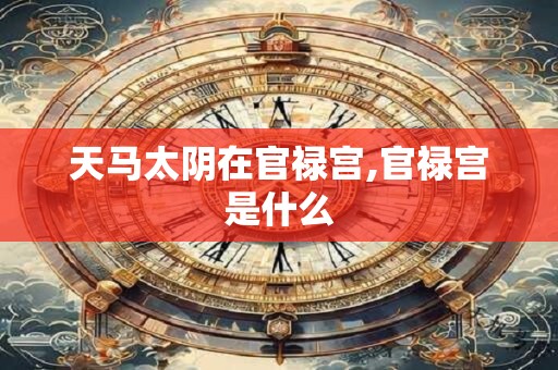 天马太阴在官禄宫,官禄宫是什么