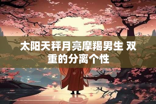 太阳天秤月亮摩羯男生 双重的分离个性