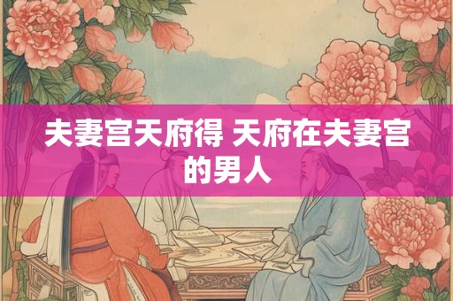 夫妻宫天府得 天府在夫妻宫的男人