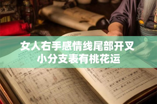女人右手手相事业线分叉 一生运程多波折