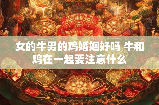 女的牛男的鸡婚姻好吗 牛和鸡在一起要注意什么