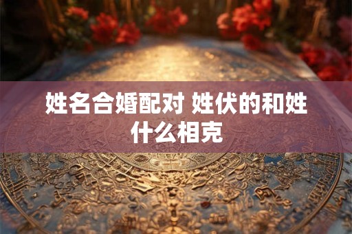 姓名合婚配对 姓伏的和姓什么相克