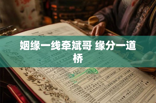 姻缘一线牵斌哥 缘分一道桥