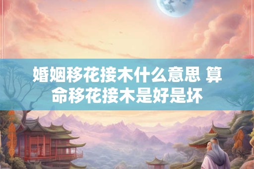 详细阅读:婚姻移花接木什么意思 算命移花接木是好是坏 婚姻移花接木什么意思 算命移花接木是好是坏
