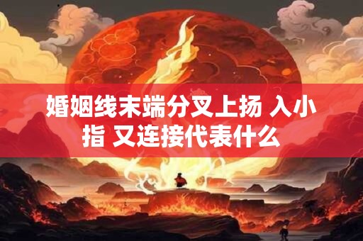 婚姻线末端分叉上扬 入小指 又连接代表什么