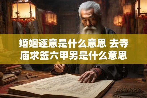 婚姻逐意是什么意思 去寺庙求签六甲男是什么意思