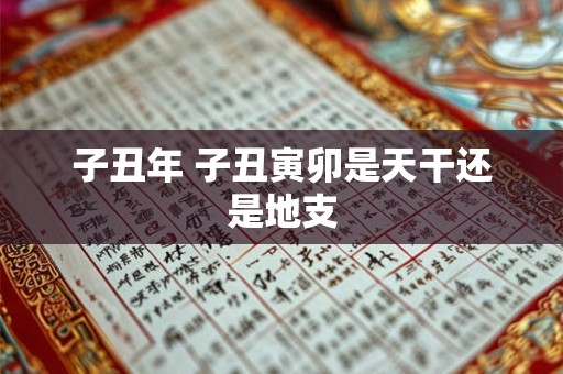 子丑年 子丑寅卯是天干还是地支