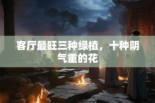 客厅最旺三种绿植，十种阴气重的花