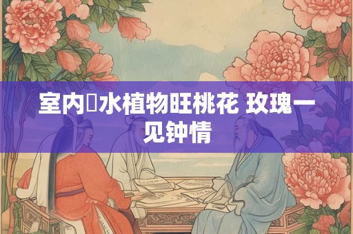 室内镇宅辟邪的有哪些摆件 房子阴气重的5个表现