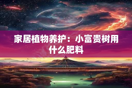 家居植物养护：小富贵树用什么肥料