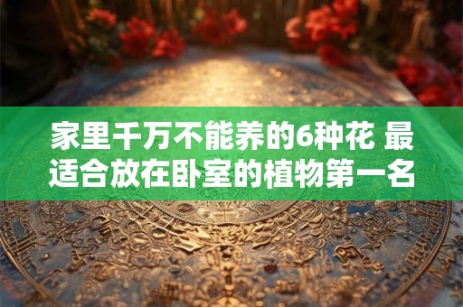 家里千万不能养的6种花 最适合放在卧室的植物第一名