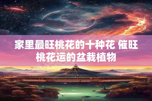 家里最旺桃花的十种花 催旺桃花运的盆栽植物