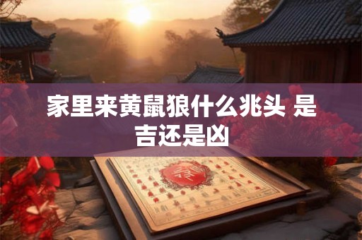 家里来黄鼠狼什么兆头 是吉还是凶