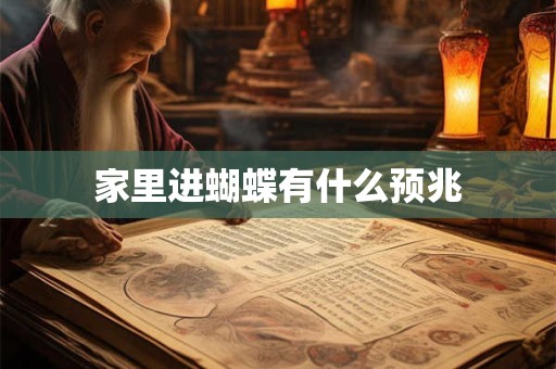 家里进蝴蝶有什么预兆