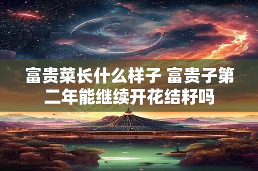 富贵菜长什么样子 富贵菜是什么菜怎么吃