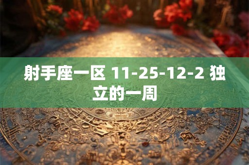 射手座一区 11-25-12-2 独立的一周