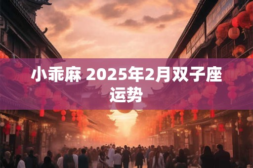 小乖麻 2025年2月双子座运势