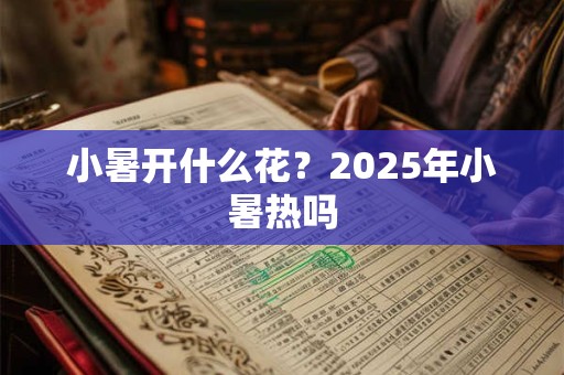 小暑就是暑伏头一天吗 小暑为什么要晒书