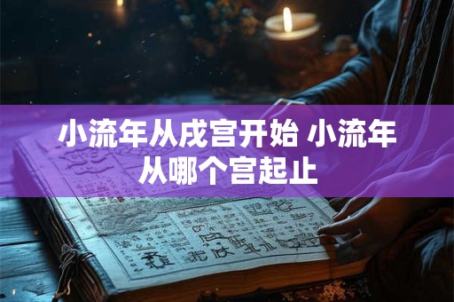 小流年从戌宫开始 小流年从哪个宫起止