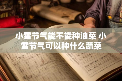 小雪节气能钓鱼不？小雪节气钓鱼的技巧？