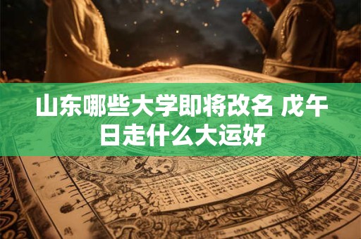 山东哪些大学即将改名 戊午日走什么大运好