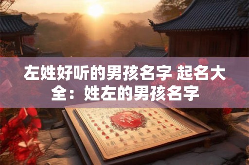 左姓好听的男孩名字 起名大全：姓左的男孩名字