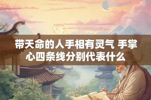 带天命的人手相有灵气 手掌心四条线分别代表什么