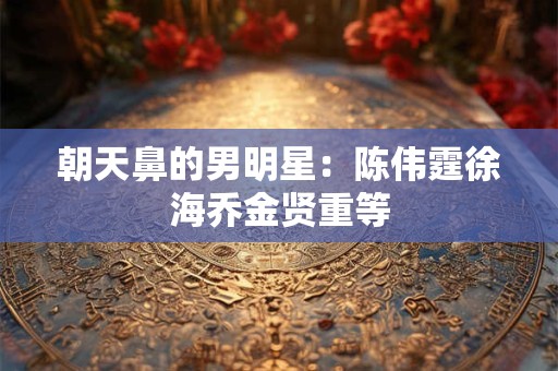 朝天鼻的男明星：陈伟霆徐海乔金贤重等