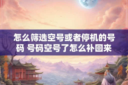 怎么筛选空号或者停机的号码 号码空号了怎么补回来