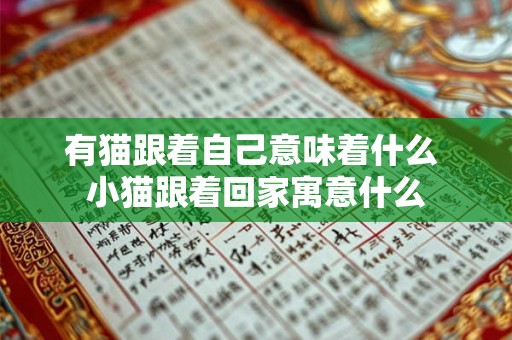 有猫跟着自己意味着什么 小猫跟着回家寓意什么