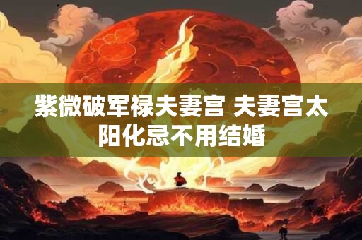 紫微破军禄夫妻宫 夫妻宫太阳化忌不用结婚
