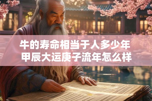 牛的寿命相当于人多少年 甲辰大运庚子流年怎么样