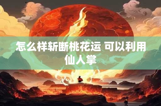 怎么样斩断桃花运 可以利用仙人掌