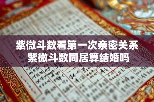 紫微斗数看第一次亲密关系 紫微斗数同居算结婚吗