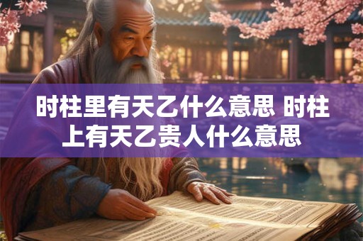 时柱里有天乙什么意思 时柱上有天乙贵人什么意思