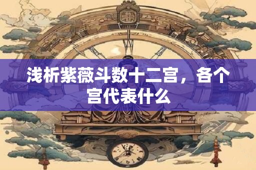 浅析紫薇斗数十二宫，各个宫代表什么