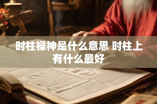时柱禄神是什么意思 时柱上有什么最好