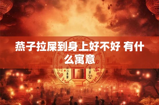 燕子拉屎到身上好不好 有什么寓意
