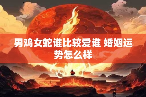 男鸡女蛇谁比较爱谁 婚姻运势怎么样