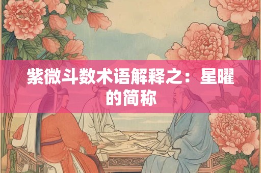 紫微斗数术语解释之：星曜的简称