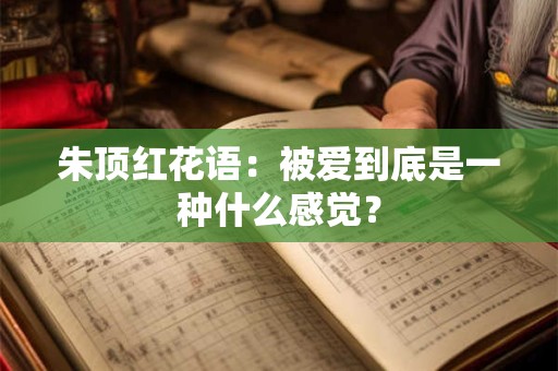 朱顶红花语：被爱到底是一种什么感觉？