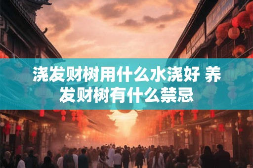 浇发财树用什么水浇好 养发财树有什么禁忌
